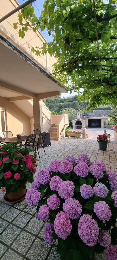 Apartman Anka Palit 외부 사진